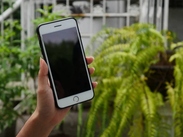 Hareket eden telefon göster