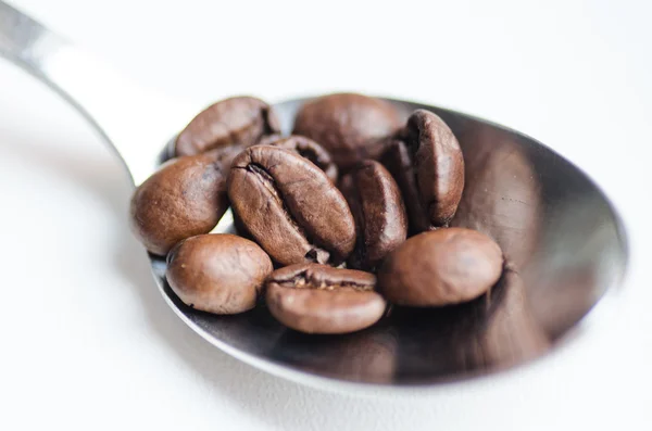 Grãos de café em colher de café em branco — Fotografia de Stock