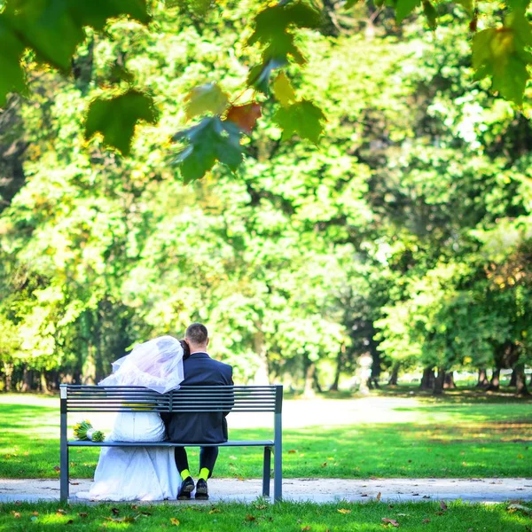 Una joven pareja de novios sentados en el banco. Novia y novio están disfrutando de la boda . —  Fotos de Stock