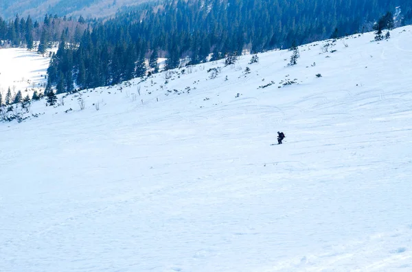 Man ski snålskjuts neråt på vintersäsongen i skugga på vacker solig dag — Stockfoto