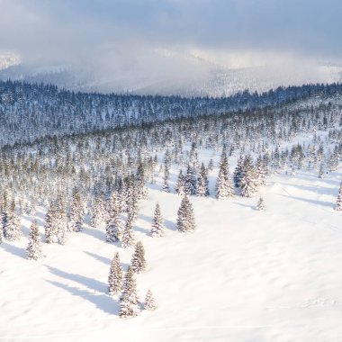 Akşam kış karlı dağlar arka plan manzara. Kış tatil kavramı.