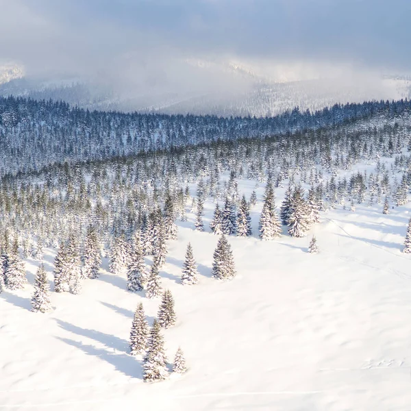 Akşam kış karlı dağlar arka plan manzara. Kış tatil kavramı.