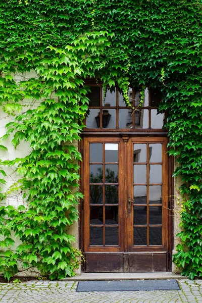 Porta na parede coberta por folhas. Conceito de casa velha . — Fotografia de Stock