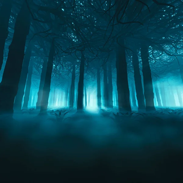 不気味な森のコンセプト — ストック写真