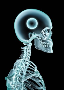 X-ışını futbol fan / 3d illüstrasyon iskelet x-ray gösterilen kafanın içinde futbol topu