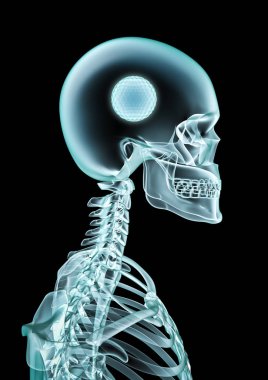 X-ışını golf fan / 3d illüstrasyon iskelet x-ray golf topu kafanın içinde gösterilen