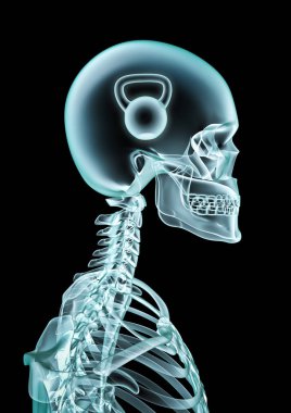 X-ışını kettlebell fan / 3d illüstrasyon iskelet, x-ışını gösteren kettlebell kafanın içinde