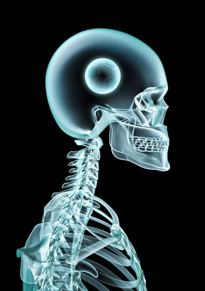 Ray Soccer Fan Illustration Skeleton Ray Showing Soccer Ball Head — Stock Photo, Image