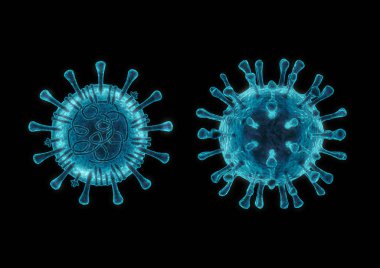 Coronavirus hücre yapısı konsepti / 2019 Novel Coronavirus 'un 3d çizimi virüsün tek iplikli Rna genomu ve sıçramasını, membran ve zarf proteinlerini gösteriyor