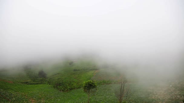 Vista de la hermosa niebla en Phu Tub Berk en Tailandia — Vídeo de stock