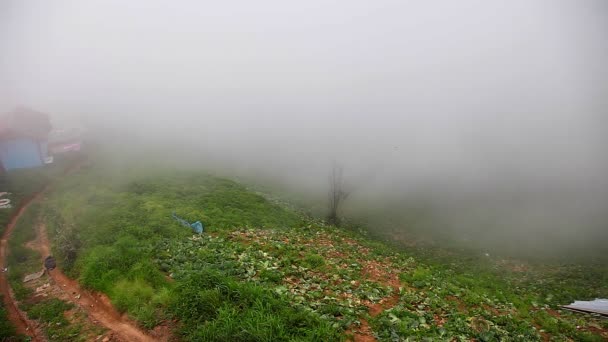 Vista de la hermosa niebla en Phu Tub Berk en Tailandia — Vídeo de stock