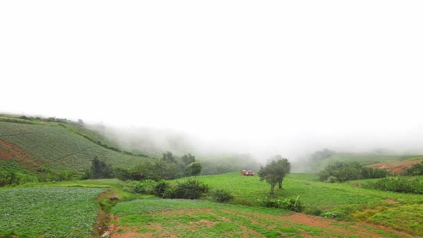 Vista de la hermosa niebla en Phu Tub Berk en Tailandia — Vídeos de Stock