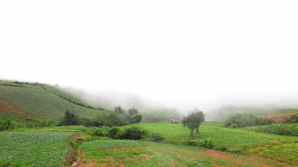 Vista de la hermosa niebla en Phu Tub Berk en Tailandia — Vídeos de Stock