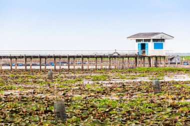 Tayland büyük göl kulübede