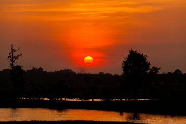 Ağaç siluet ve peyzaj günbatımı