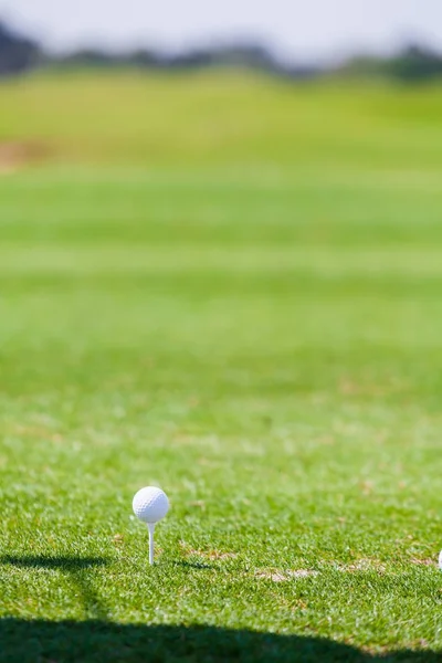 Pelota de golf en la camiseta Listo para golpear —  Fotos de Stock