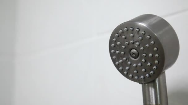 Water Sprays Out Shower Head Slow Motion — Stock Video