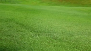 Golf top yeşil çimenlerin üzerinde inişli çıkışlı