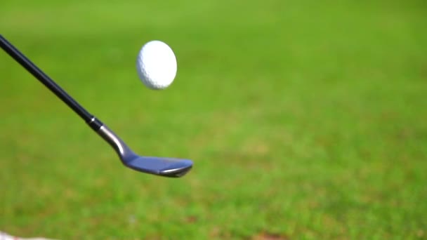 Golfer golfbal bouncen op de Club — Stockvideo