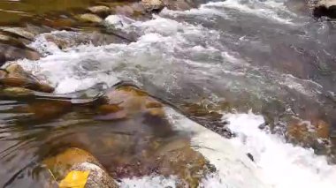 Kayalar ormandaki nehir akıyor