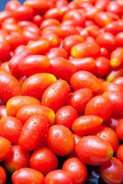 Grup taze kırmızı tecavüz kiraz domates