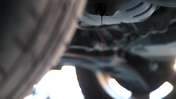 オート メカニック ガレージで車のリフトの下に古いオイルを排出 — ストック動画