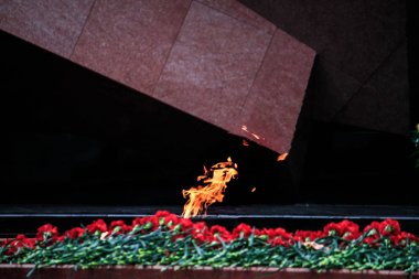 karanfil çiçek ve Eternal flame