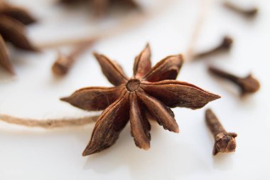 Anason ağaç tohumu