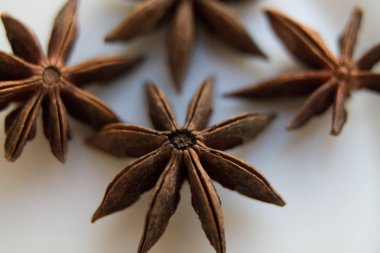 Anason ağaç tohumu