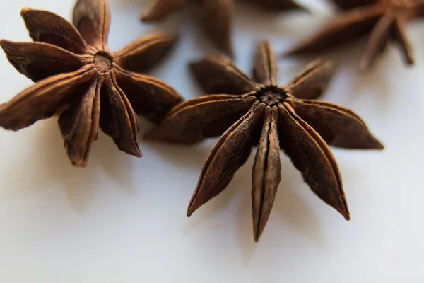 anise tree seeds