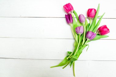 Bunch of red and purple tulips on white wooden background with copy space like postcard on womens day