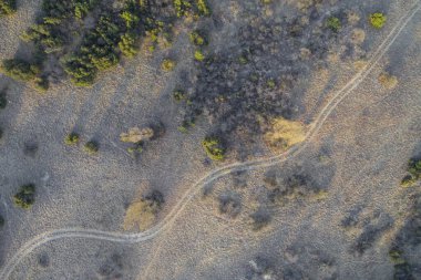Arka planda orman ve yol manzarası