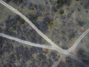 Arka planda orman ve yol manzarası