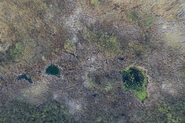 Vista Aérea Del Bosque Sobre Fondo —  Fotos de Stock