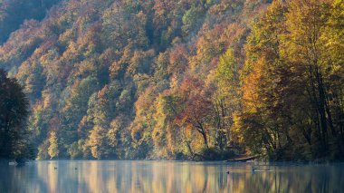 Sonbahar ormanında sabah erkenden nehirde