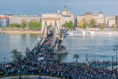 Budapeşte 'de parlamentoyla zincir köprü 