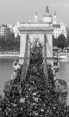 Budapeşte 'de gece vakti parlamentoyla birlikte siyah beyaz bir köprü.