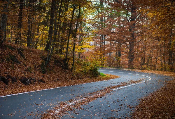 Bochtige Weg Herfst Achtergrond — Stockfoto
