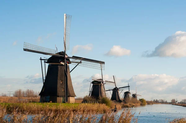 Holenderskie Wiatraki Holandii Tle — Zdjęcie stockowe