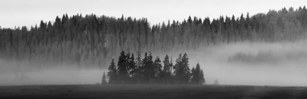 Красивий Туманний Ранок Горах Ліцензійні Стокові Фото