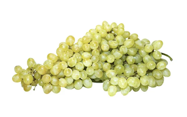 Bunch of grapes isolated — Stock Photo, Image