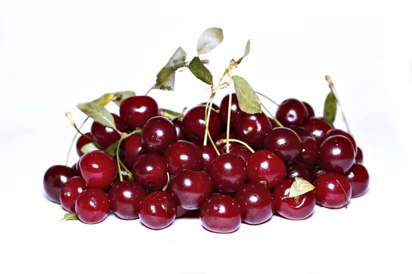 고립 된 붉은 익은 체리 열매 — 스톡 사진