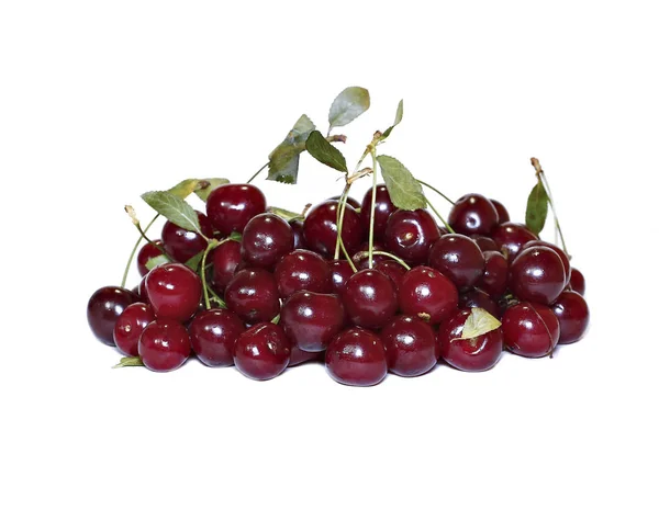 고립 된 붉은 익은 체리 열매 — 스톡 사진