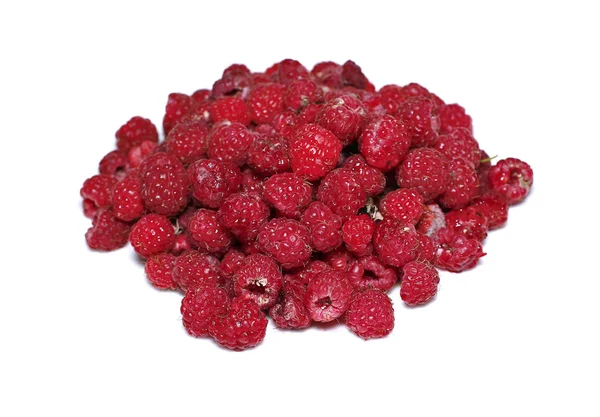 Viele Beeren der leuchtend roten Himbeere isoliert — Stockfoto