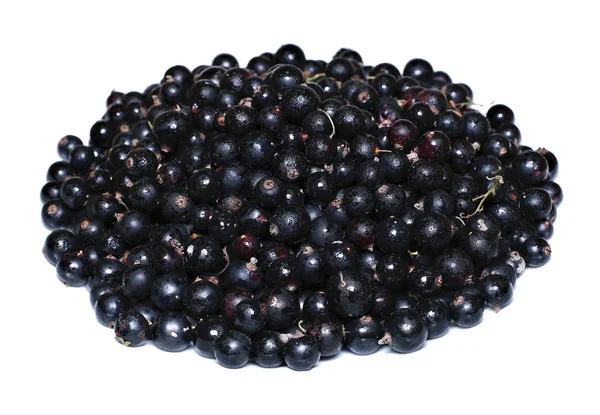 分離された多くの熟したブラックカラント果実 — ストック写真