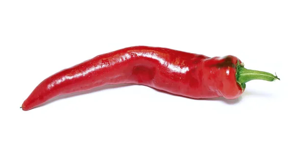 Pod ardiente escaldado pimiento rojo aislado —  Fotos de Stock