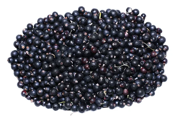 分離された多くの熟したブラックカラント果実 — ストック写真