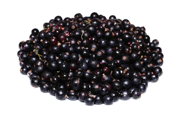 Wiele jagody dojrzałe czarne porzeczki na białym tle — Zdjęcie stockowe