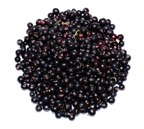 Viele reife schwarze Johannisbeeren isoliert — Stockfoto