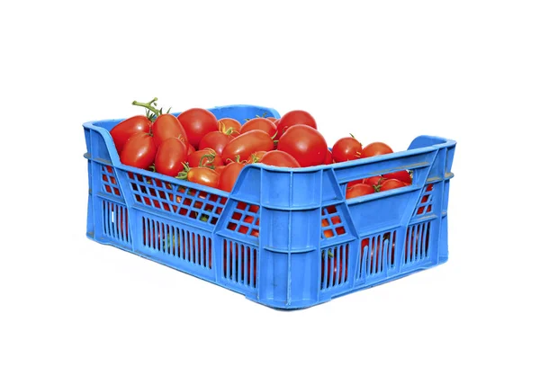 Tomates rojos en una caja de plástico — Foto de Stock